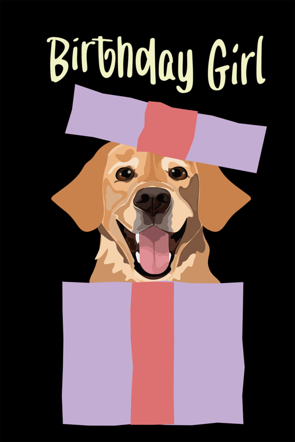 Uśmiechnięty labrador wyskakujący z fioletowego pudełka prezentowego z napisem Birthday Girl