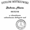 dyp2 Personalizowana koszulka dla babci na urodziny, dzień babci, prezent - Dyplom mistrzowski różne warianty