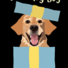 Ilustracja psa labradora w niebieskim pudełku z napisem Birthday Boy