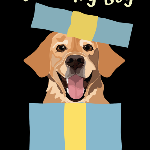Ilustracja psa labradora w niebieskim pudełku z napisem Birthday Boy