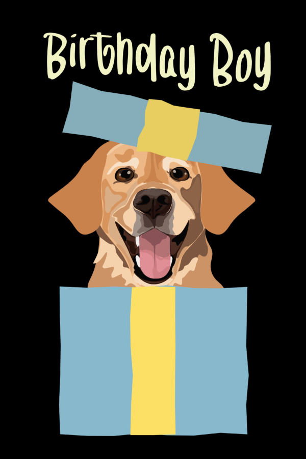 Ilustracja psa labradora w niebieskim pudełku z napisem Birthday Boy