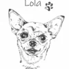 chihuauha główna Personalizowana koszulka dla dzieci z Chihuahua