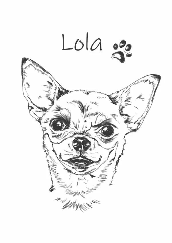 chihuauha główna Personalizowana koszulka dla dzieci z Chihuahua