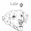 golden retriver główne Personalizowana koszulka dla dzieci z Golden retrieverem