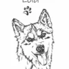 husky główne Personalizowana koszulka dla dzieci z Husky