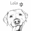 damska-koszulka-labrador-lola-personalizowana Personalizowana koszulka dla dzieci z Labradorem