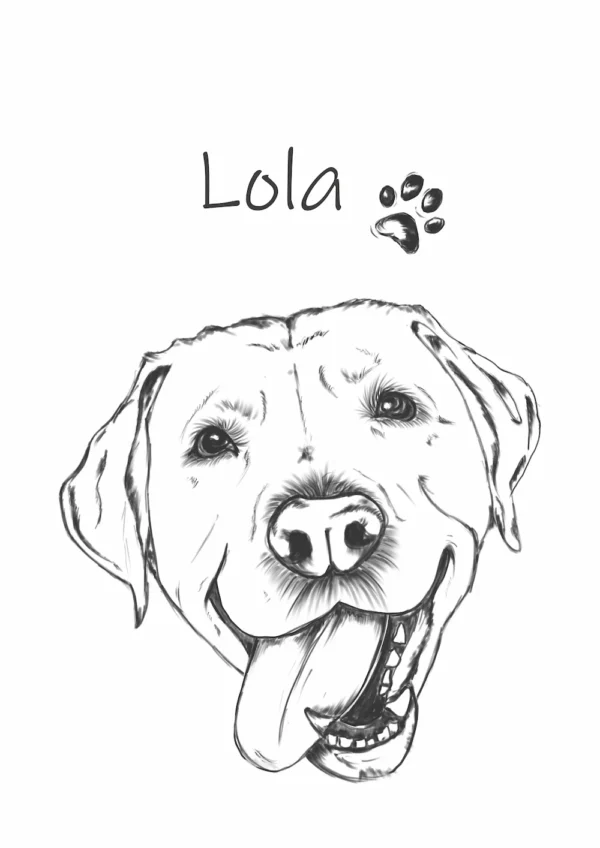 damska-koszulka-labrador-lola-personalizowana Personalizowana koszulka dla dzieci z Labradorem