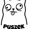 Męska personalizowana śmieszna koszulka z kotem i własnym Imieniem